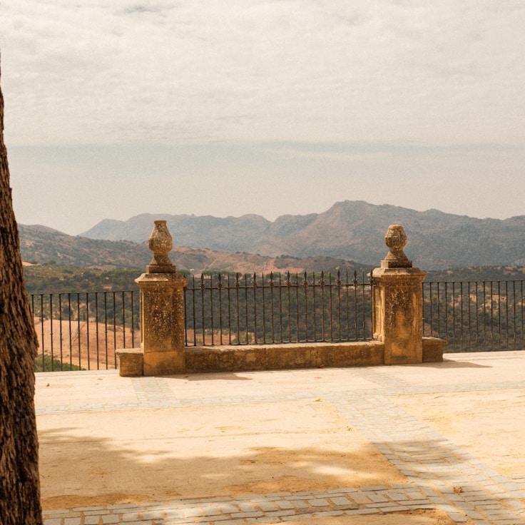 Family terraces and cafés for calm evenings in Seattle